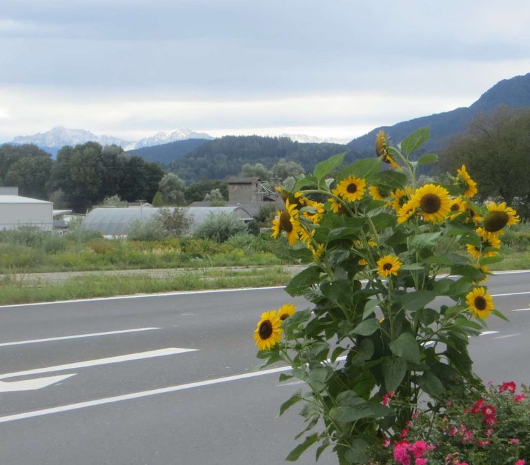 Kärnten ist anders!